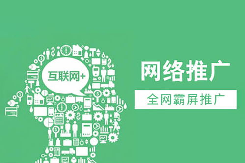 您不得不知的網(wǎng)絡(luò)推廣方案 網(wǎng)絡(luò)文化經(jīng)營的關(guān)鍵策略